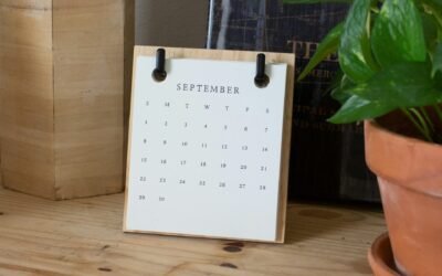Catching Up – September 2024