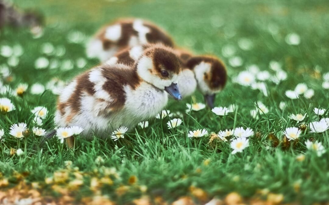 Moving into Spring – March 2025