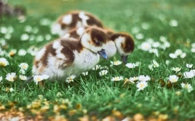 Moving into Spring – March 2025